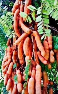 217811c5-95ec-421b-a16f-c6356f543b48