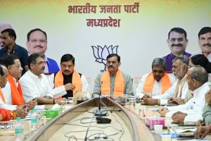 e8e3025c-f423-4e1e-bbd9-6dbd95bb53b3