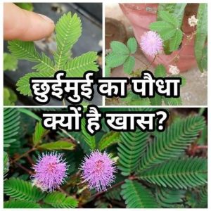 b1df415c-6566-4e31-9d0f-4447cf8b831e