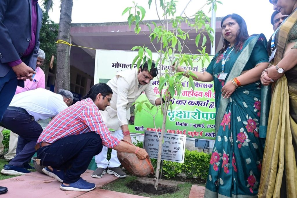 WhatsApp Image 2025-07-01 at 14.06.11